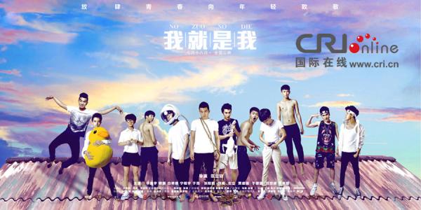 兰斯顿大学成绩单电子图